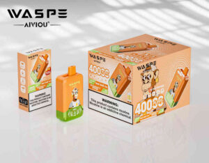 Aspe Double Flavor 40000  Vape Puffs Watermelon Ice & Lemon Lime